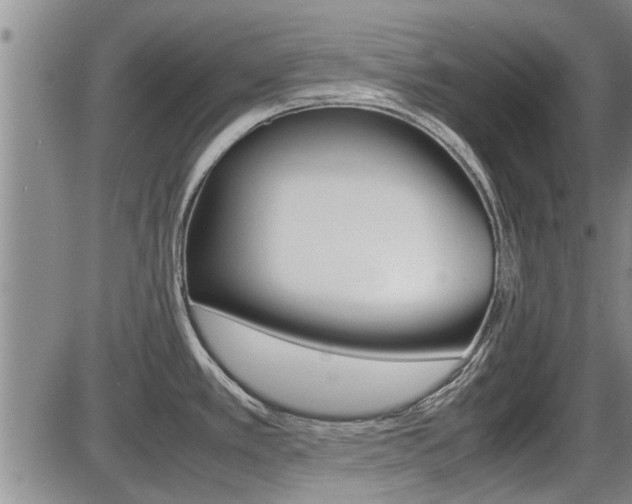 X0000086331389200703300919