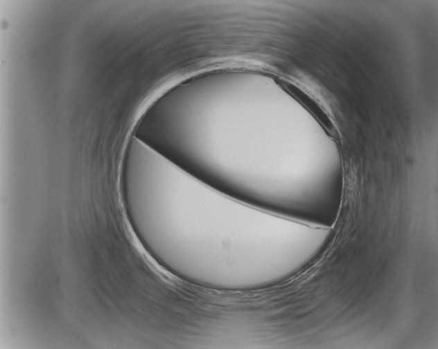 X0000086331391200703300919