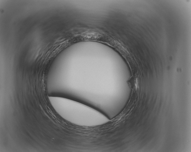 X0000086331396200703300919