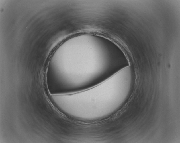 X0000086331412200703300919