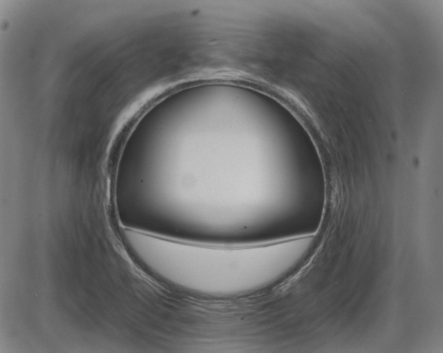 X0000086331414200703300919
