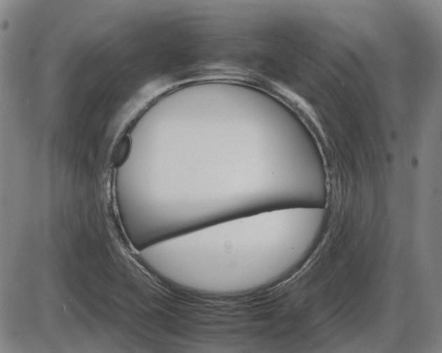 X0000086331415200703300919