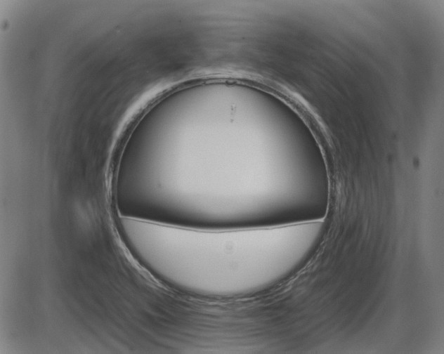 X0000086331416200703300919