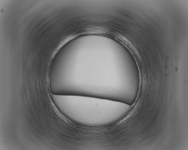 X0000086331417200703300919