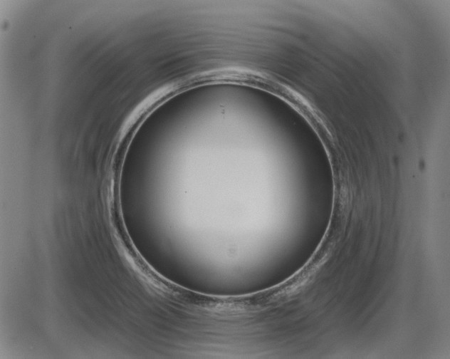 X0000086331418200703300919