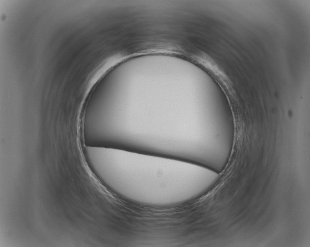 X0000086331423200703300919