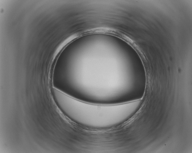 X0000086331426200703300919
