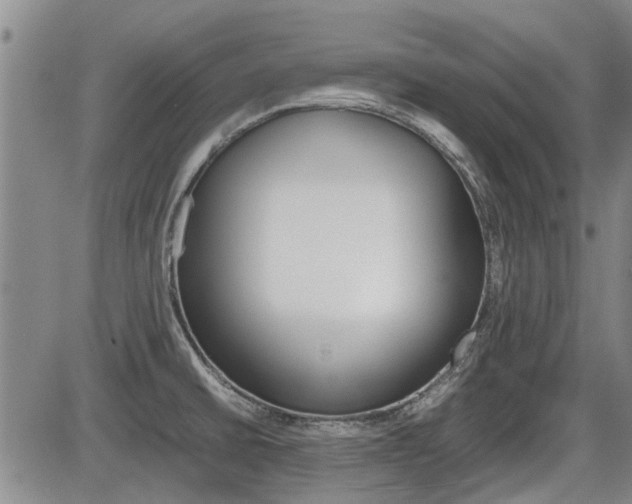 X0000086331430200703300919