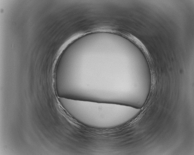 X0000086331435200703300919