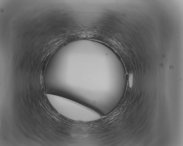 X0000086331444200703300919