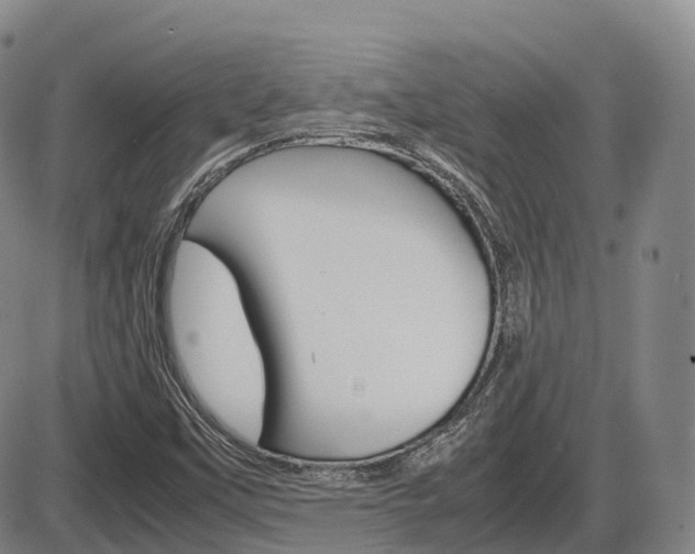 X0000086331451200703300918