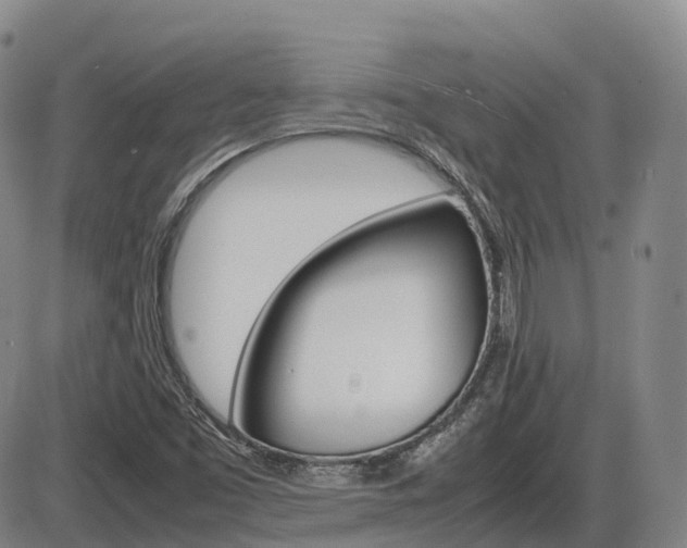 X0000086331453200703300918