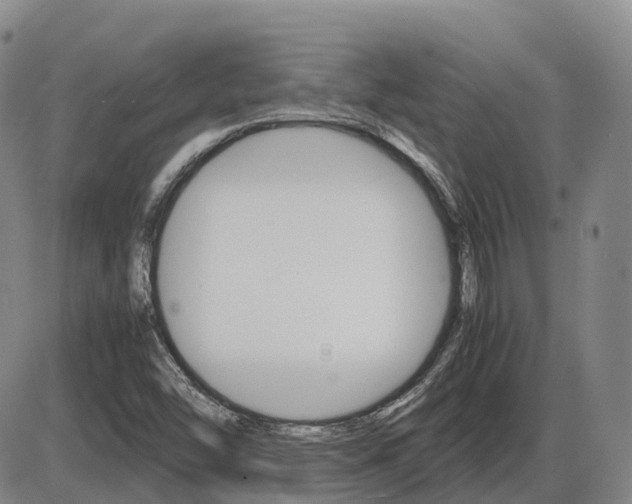 X0000086331454200703300918