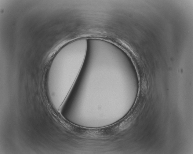 X0000086331455200703300918