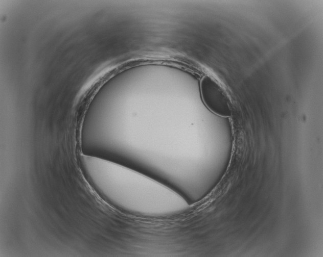 X0000086331456200703300918