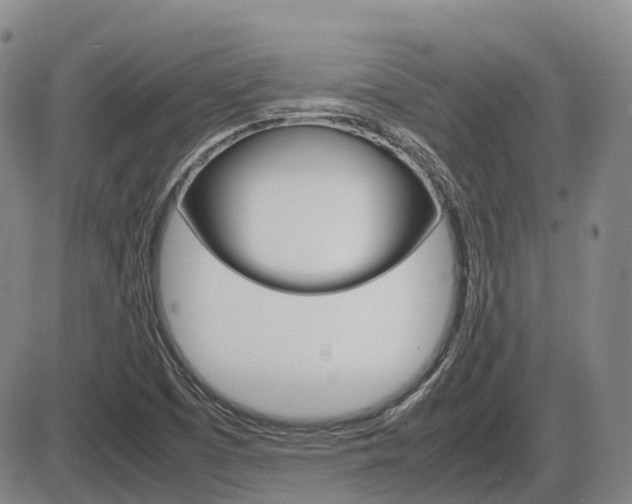 X0000086331457200703300918