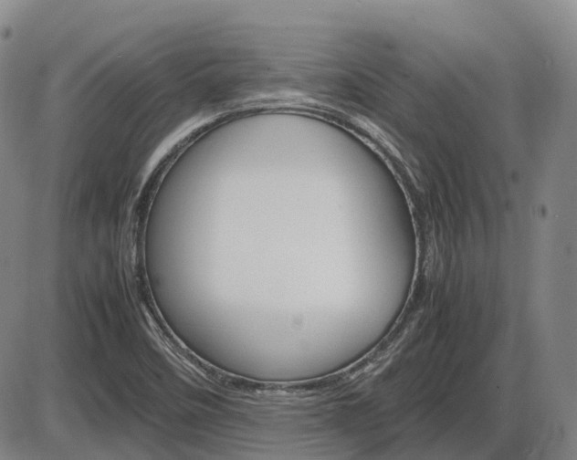X0000086331458200703300918