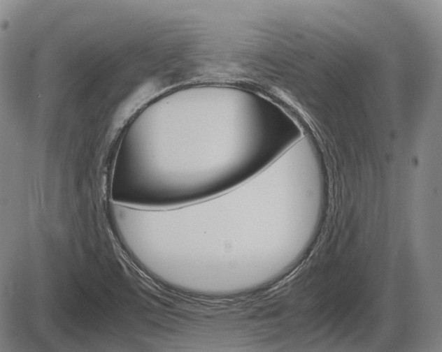 X0000086331459200703300918