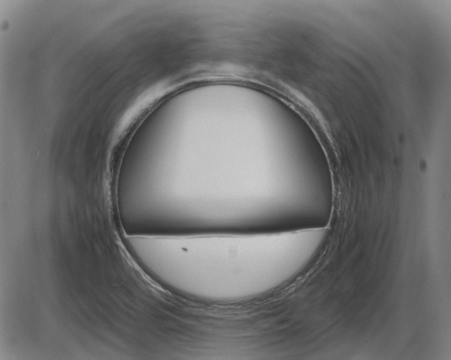 X0000086331464200703300918