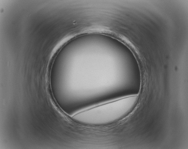 X0000086331469200703300918