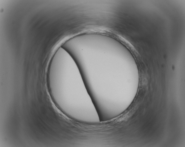 X0000086331471200703300918