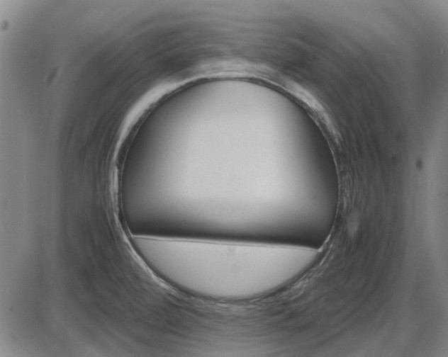 X0000086331472200703300918