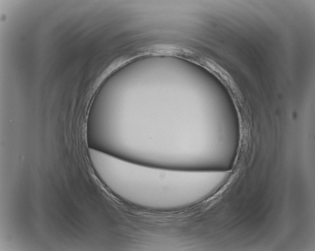 X0000086331473200703300918