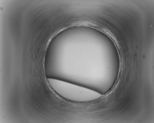 X0000086331481200703300918