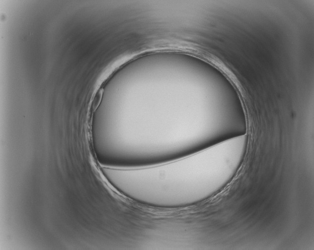 X0000086331485200703300918