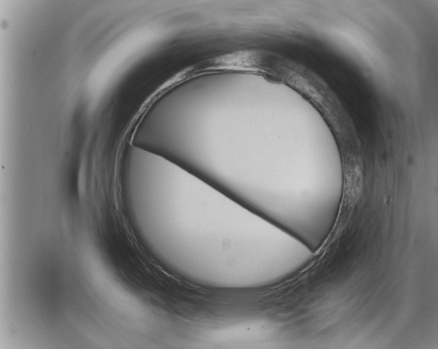 X0000086331487200703300918