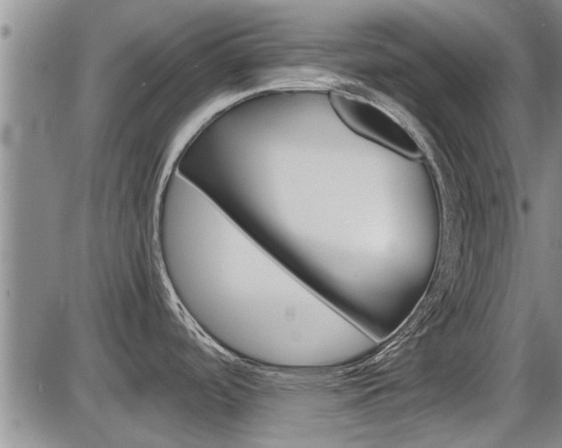 X0000086331488200703300918