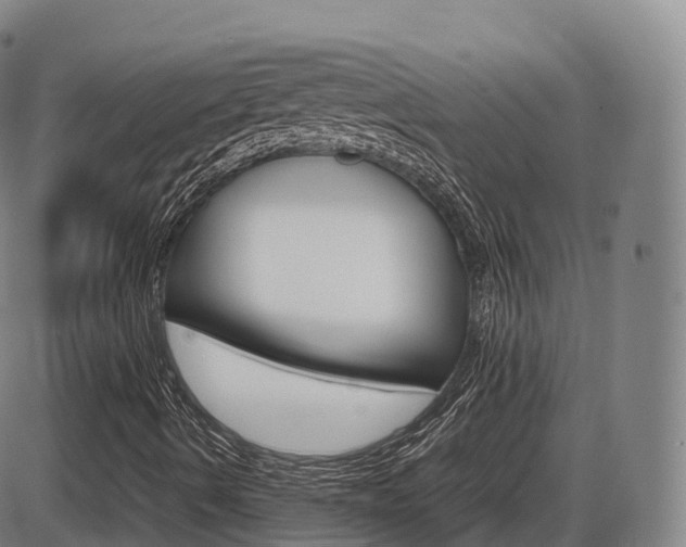 X0000086331490200703300917