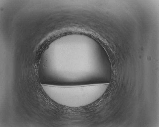 X0000086331495200703300917
