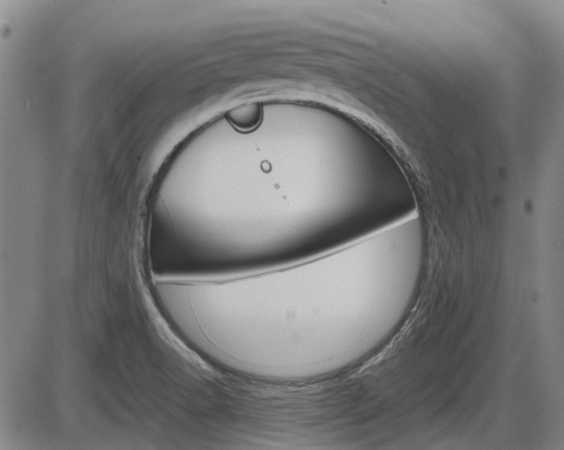X0000086331518200703300917