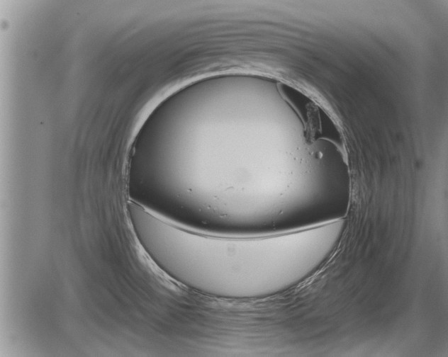 X0000086331532200703300918