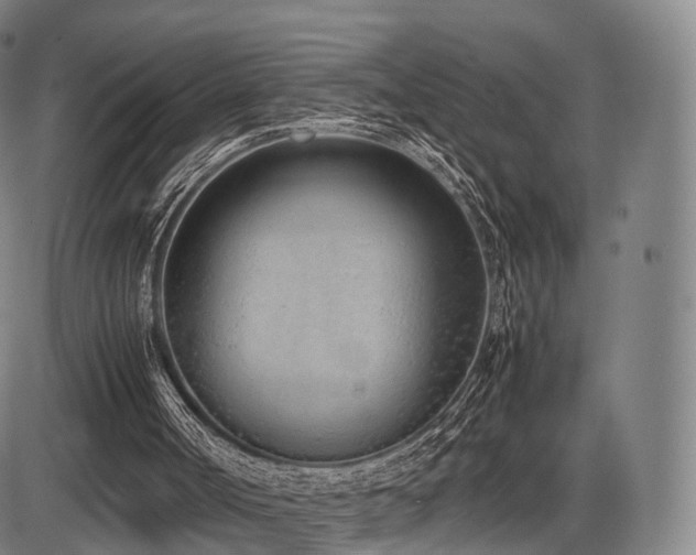 X0000086330002200703301242