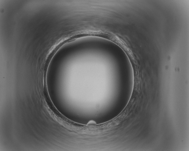 X0000086330011200703301242