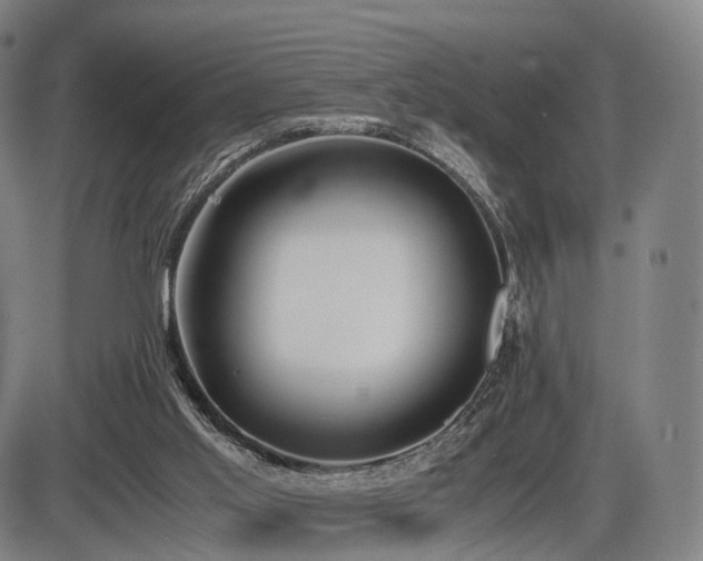 X0000086330013200703301242