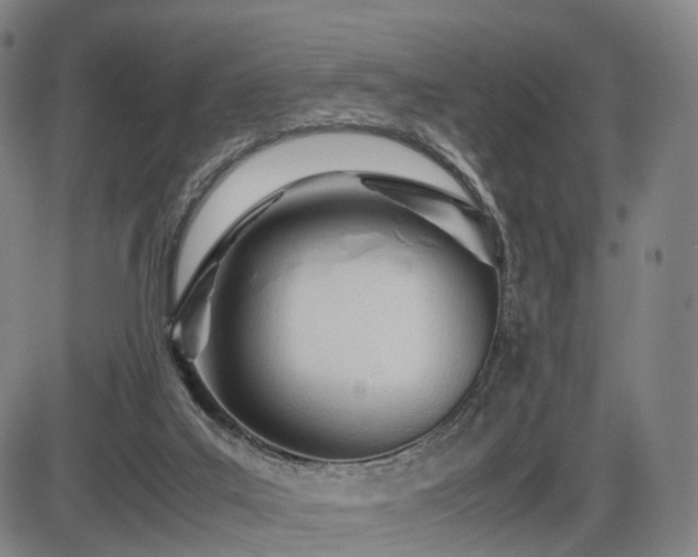 X0000086330019200703301241