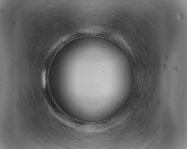 X0000086330020200703301241