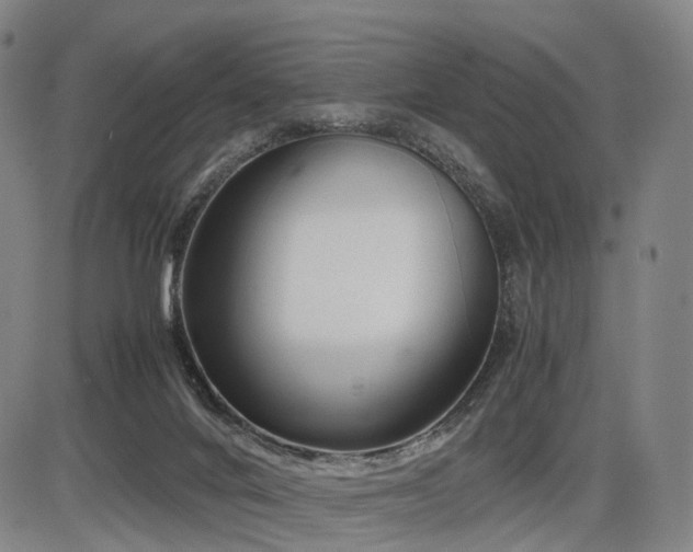 X0000086330024200703301241