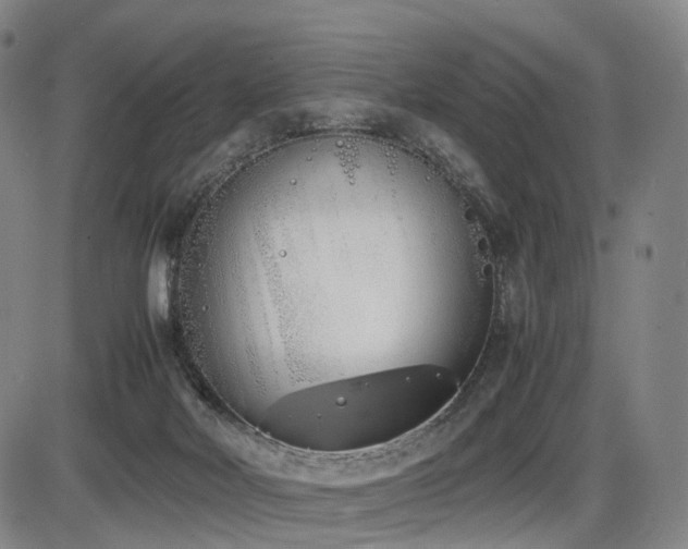 X0000086330026200703301241