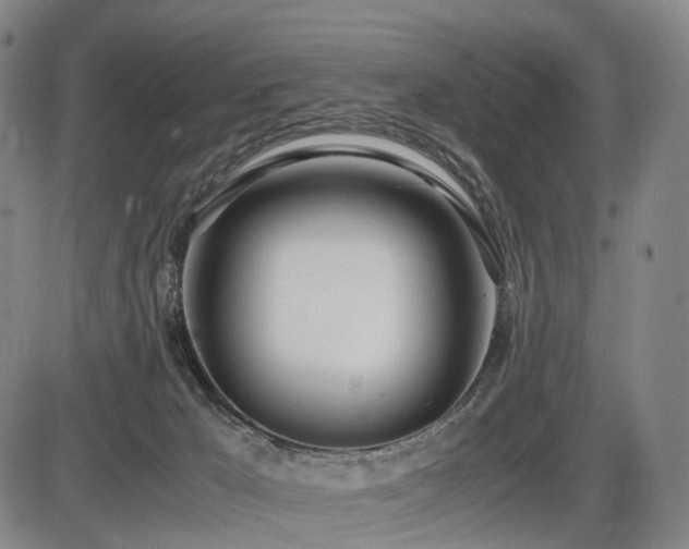 X0000086330029200703301241