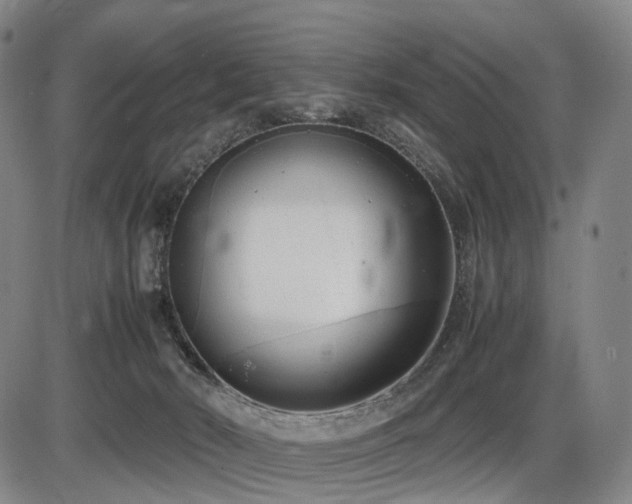 X0000086330030200703301241
