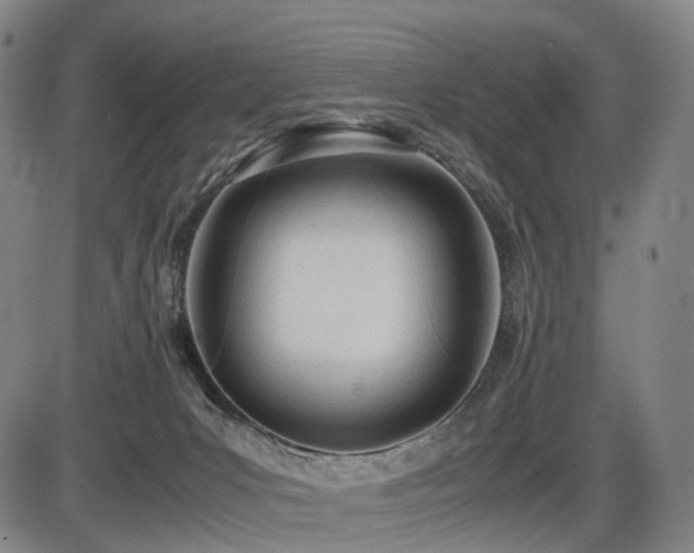 X0000086330031200703301241