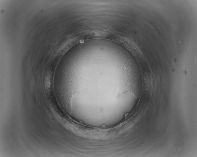 X0000086330032200703301241