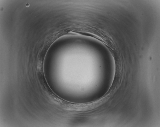 X0000086330033200703301241