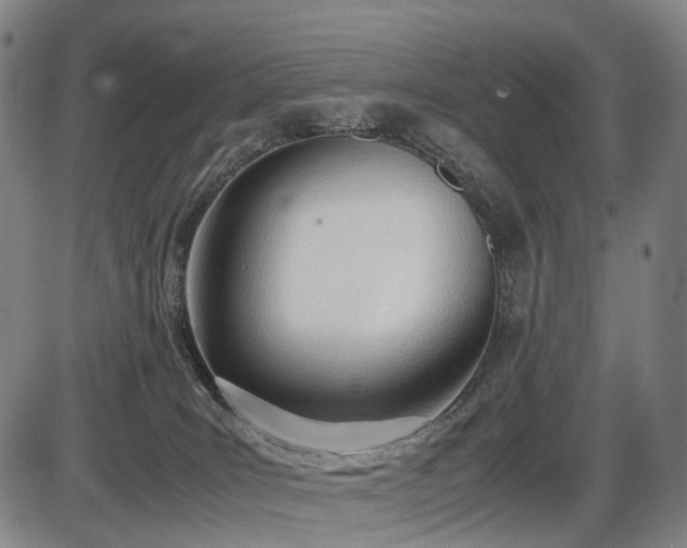X0000086330035200703301241