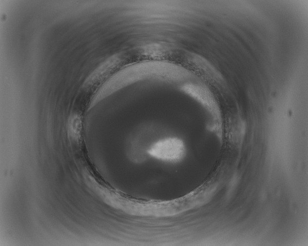 X0000086330036200703301241