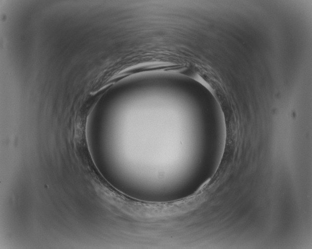 X0000086330037200703301241